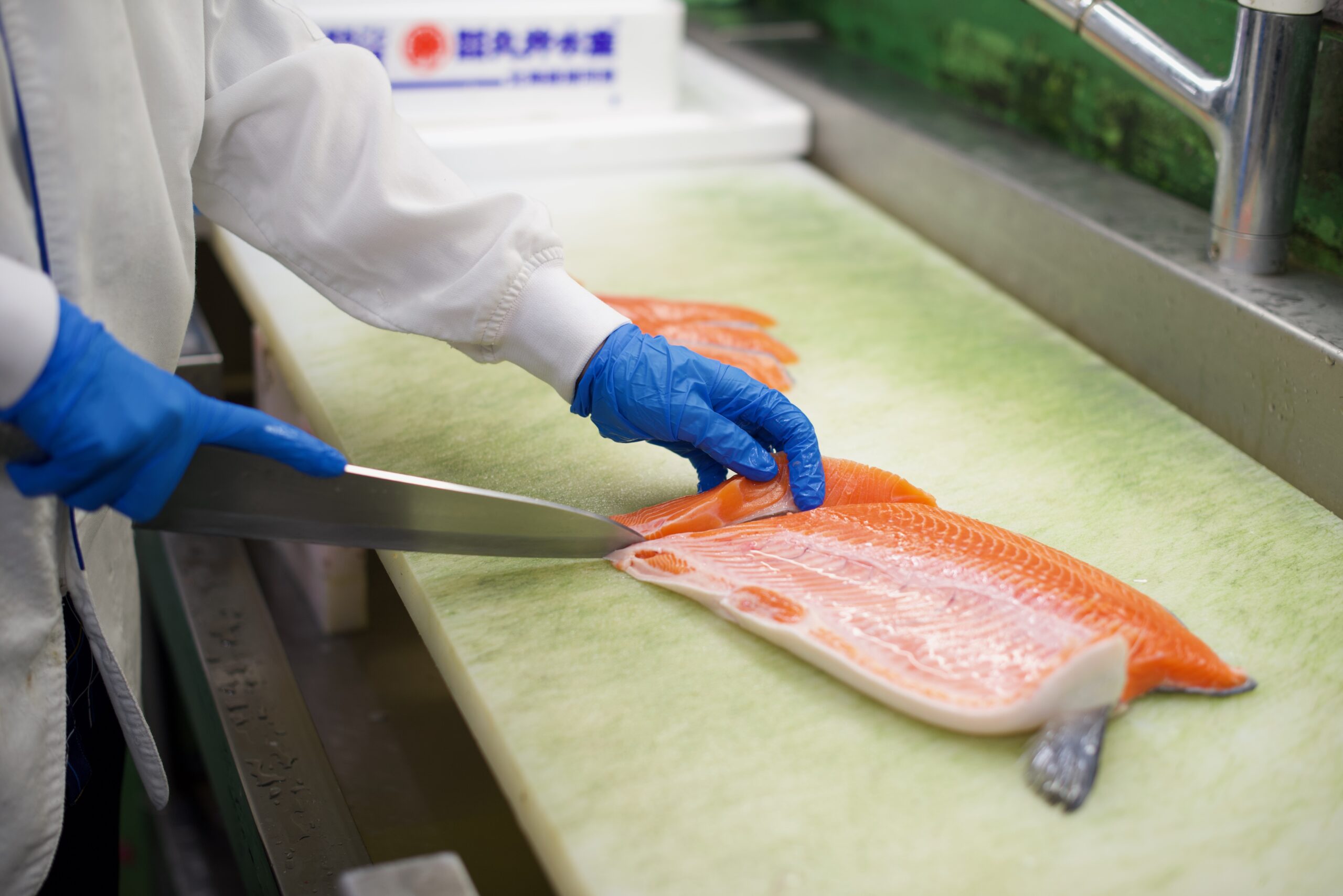鮮魚仕事内容